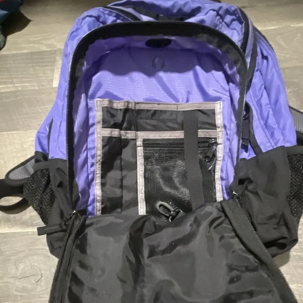 L.L. Bean bean purple